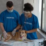 What Does a Veterinary Internist Do?
