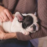 Top 5 Questions to Ask Your Veterinarian to Ensure Your Pet’s Health and Well-Being